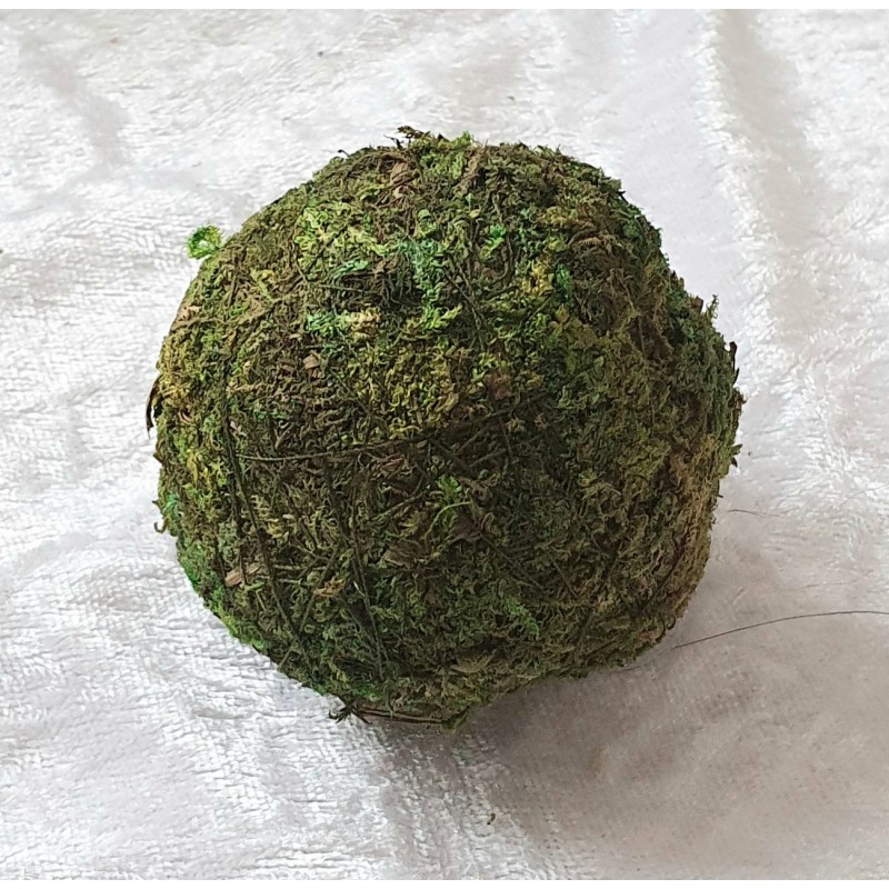 Kugel aus Moos