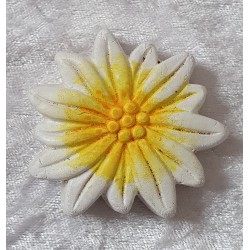 Edelweiss Magnet