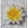 Edelweiss Magnet
