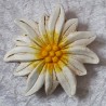 Edelweiss aus Ton