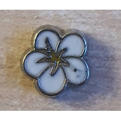 Blume