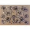 Clear Stamps Blumen
