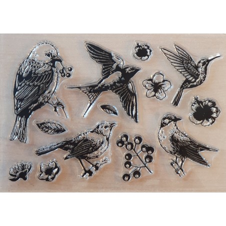 Clear Stamps Vögel