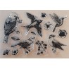 Clear Stamps Vögel