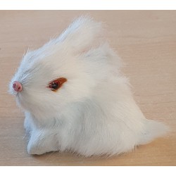 Kaninchen weiss