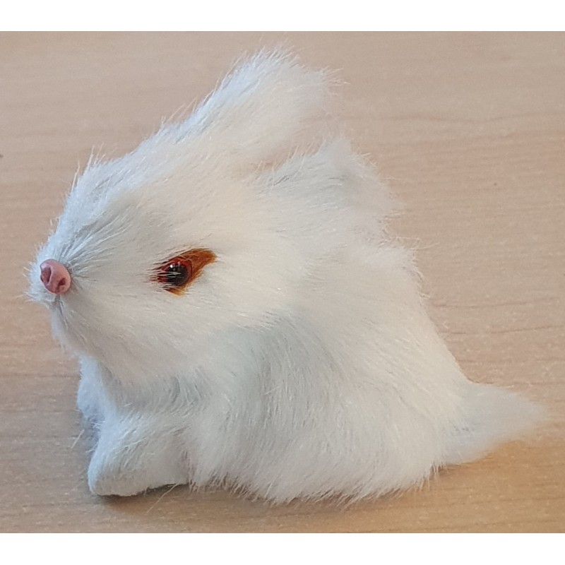 Kaninchen weiss