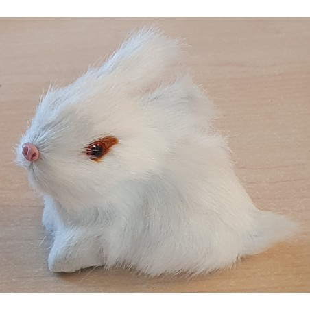 Kaninchen weiss