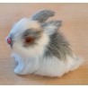 Kaninchen weiss/grau