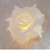 Rose mit Led