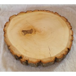Holzscheibe