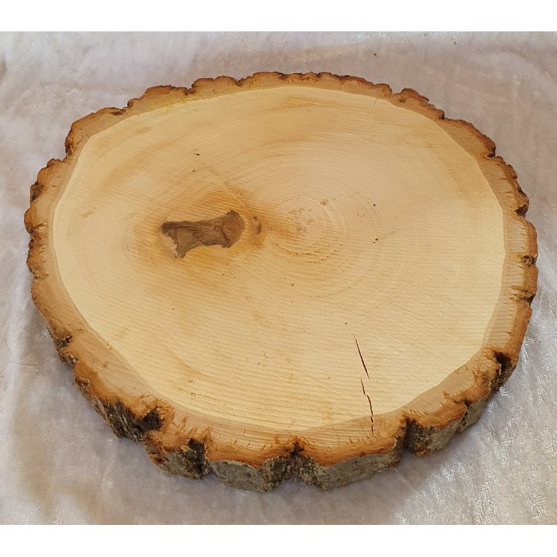 Holzscheibe