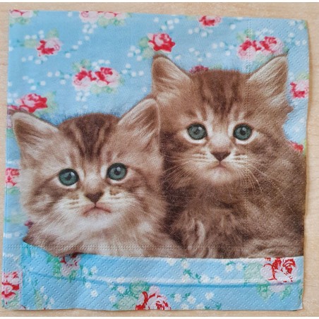 Serviette Katzen