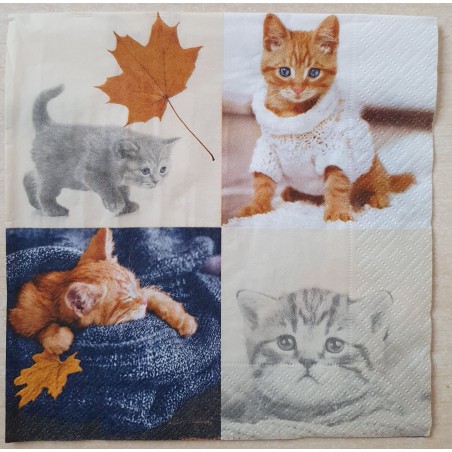 Serviette Katze