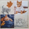 Serviette Katze