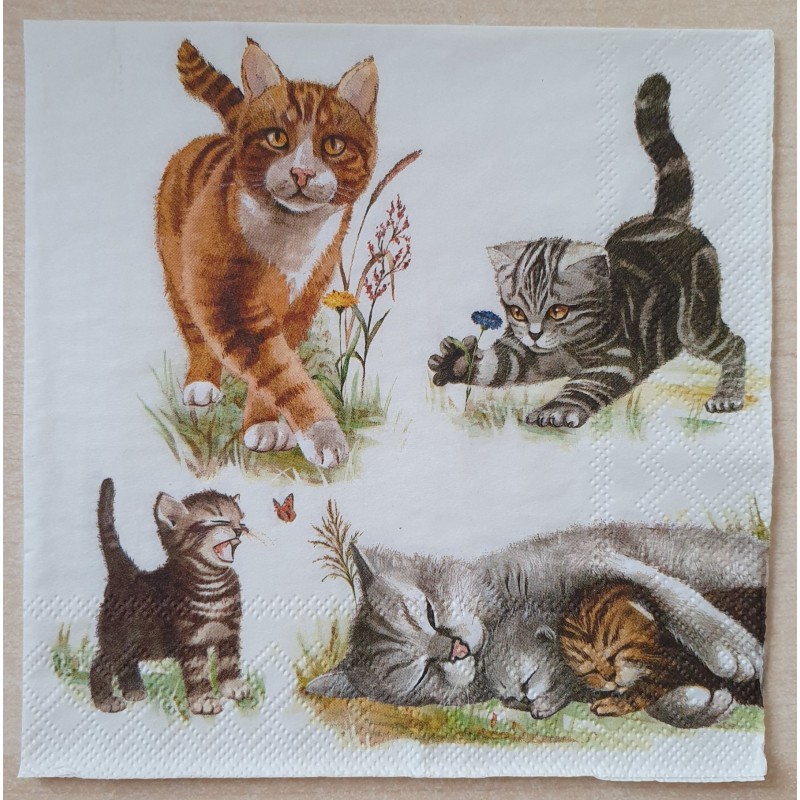 Serviette Katzen
