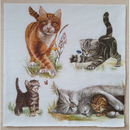 Serviette Katzen
