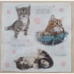 Serviette Katzen