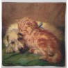 Serviette Katze und Hund