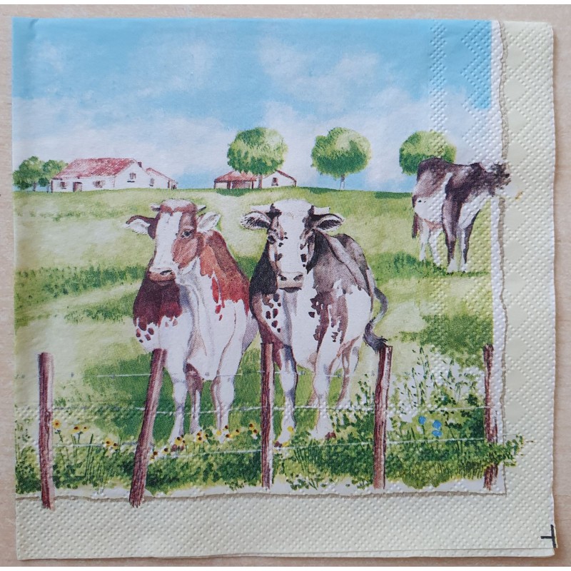 Serviette Kühe