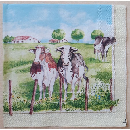 Serviette Kühe