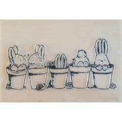 Clear Stamps Kaninchen