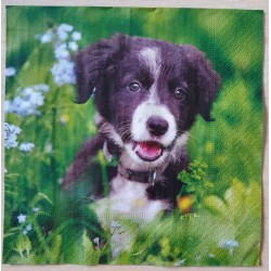 Serviette Hund