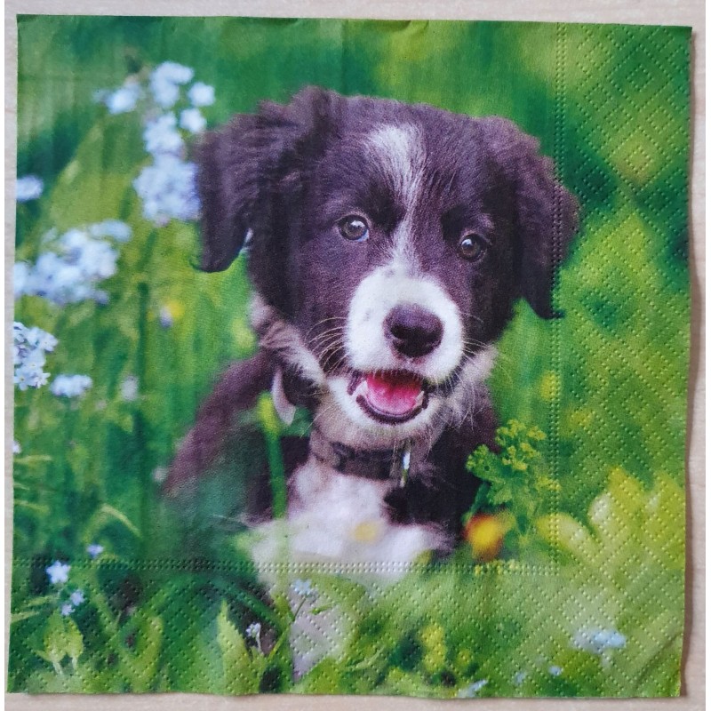 Serviette Hund