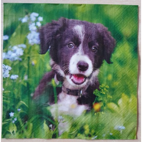 Serviette Hund