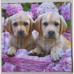 Serviette Hund