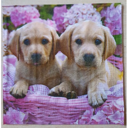Serviette Hund
