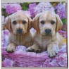 Serviette Hund