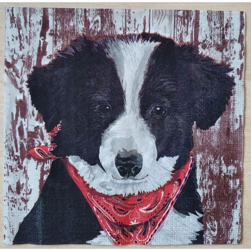 Serviette Hund