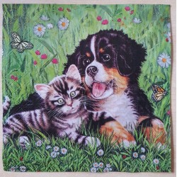Serviette Hund/Katze