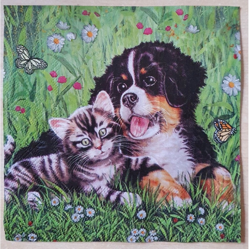Serviette Hund/Katze