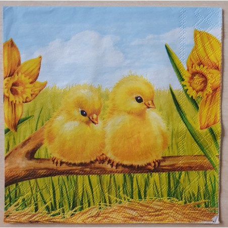Serviette Küken