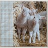 Serviette Lamm