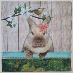Serviette Kaninchen/Ei