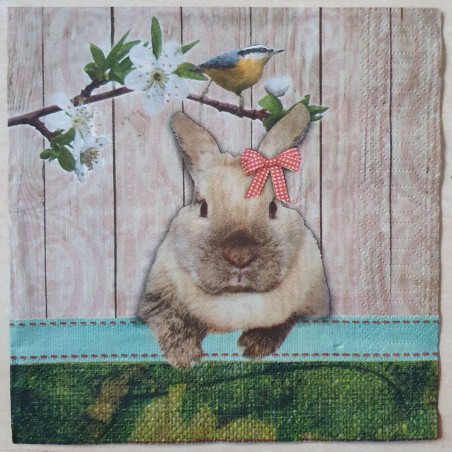Serviette Kaninchen/Ei