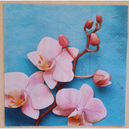 Serviette Orchideen