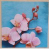 Serviette Orchideen