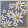 Serviette Edelweiss