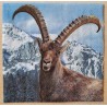 Serviette Steinbock