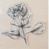 Clear Stamps Rose