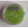 Miyuki Rocailles silverlined light green