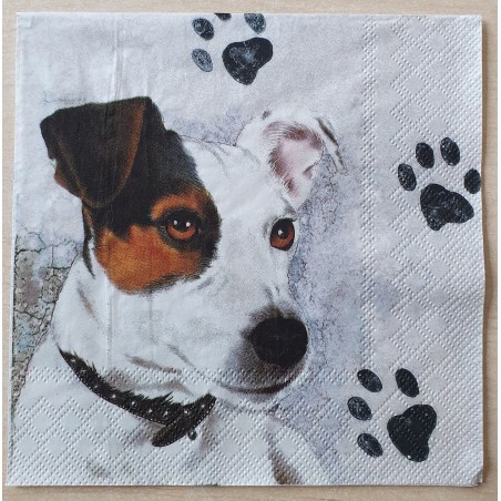 Servietten Jack Russel