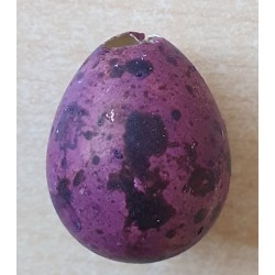 Deko Wachtelei gefärbt violette