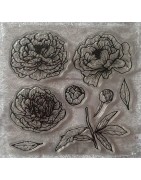Blumen/Pflanzen