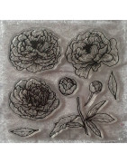 Blumen/Pflanzen