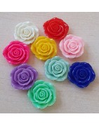 Cabochons