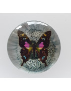 Cabochon 16 mm